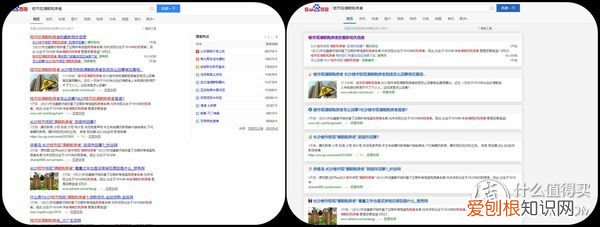 双核浏览器是什么意思？一般就是指的IE+Chrome双内核