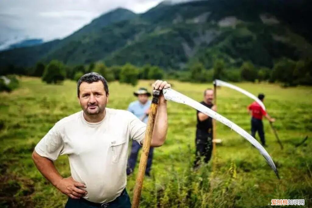 南奥塞梯属于哪个国家?南奥塞梯有多少人口呢?