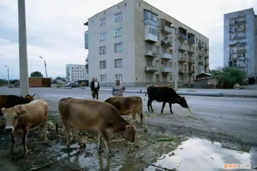 南奥塞梯属于哪个国家?南奥塞梯有多少人口呢?