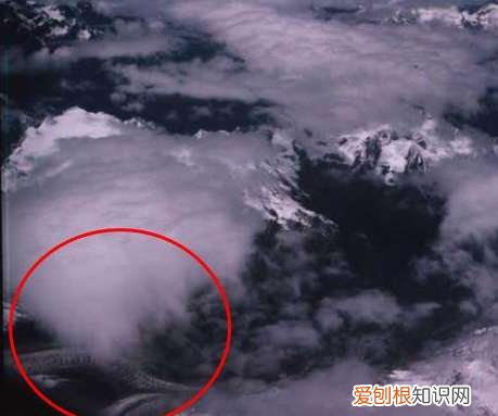 凤凰真的存在世间吗?卫星拍到的真龙凤凰