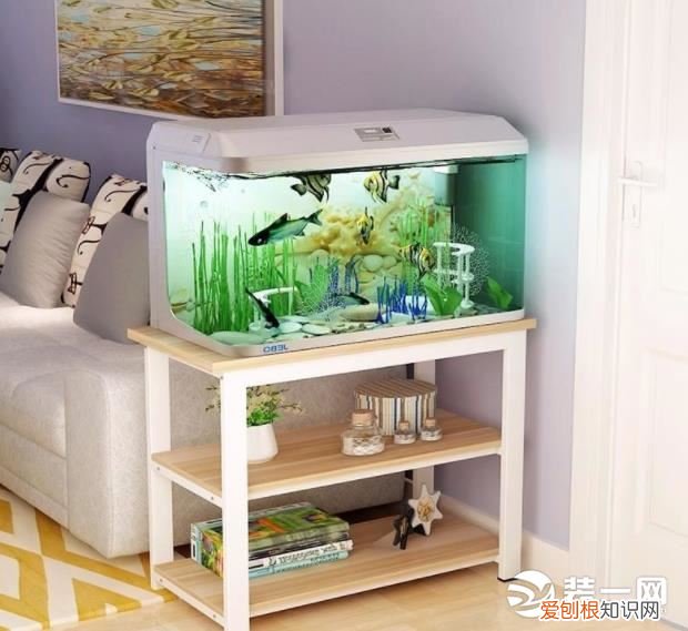 养鱼养几条好？如何摆放能旺财，看你家放对了吗