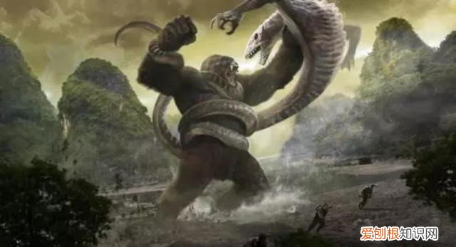 网友认为是迅猛龙 美国发现了一只活恐龙