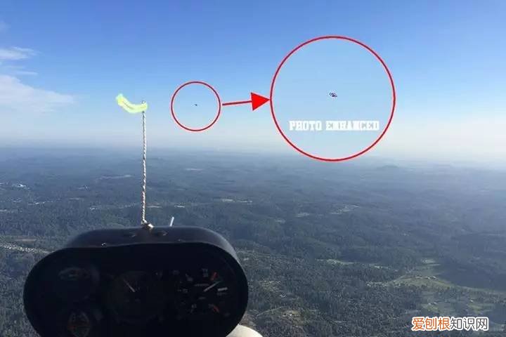 网友认为是迅猛龙 美国发现了一只活恐龙