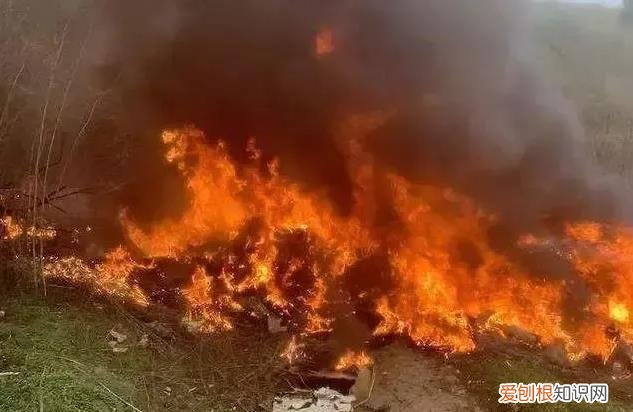 四肢健在却面目全非 科比被烧成啥样了