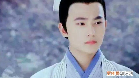 韩子高是谁？历史上的男皇后——韩子高