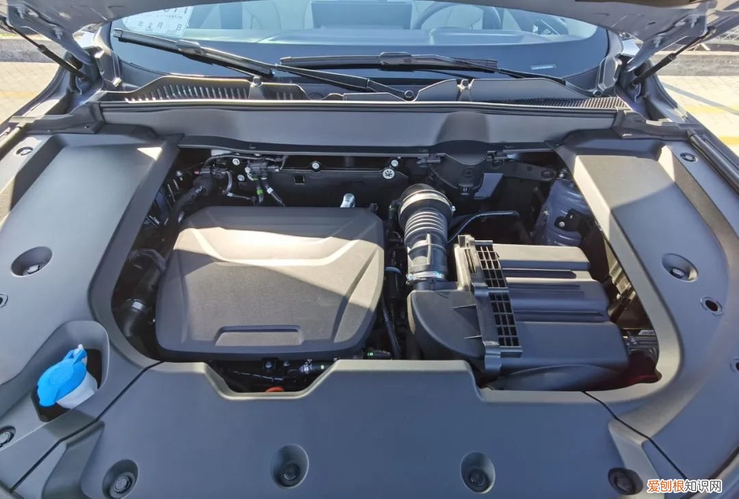 wey玛奇朵和拿铁的区别