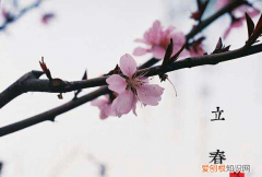 立春后还会打霜吗，湖北打霜是什么时候