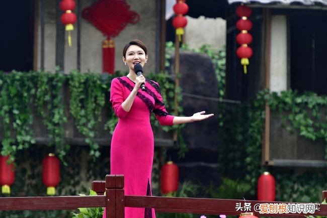 笑起来太甜，还有酒窝 龙洋简历个人资料简介