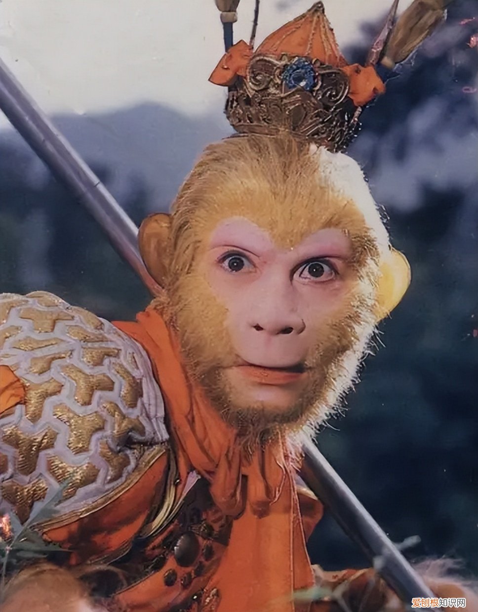 六小龄童为什么招人喷？六小龄童的到底经历了什么