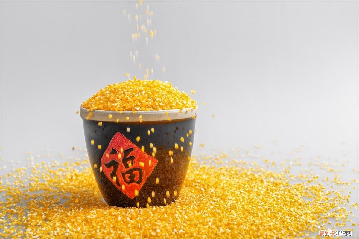 放生什么鱼福报最大？心里有数一年顺当