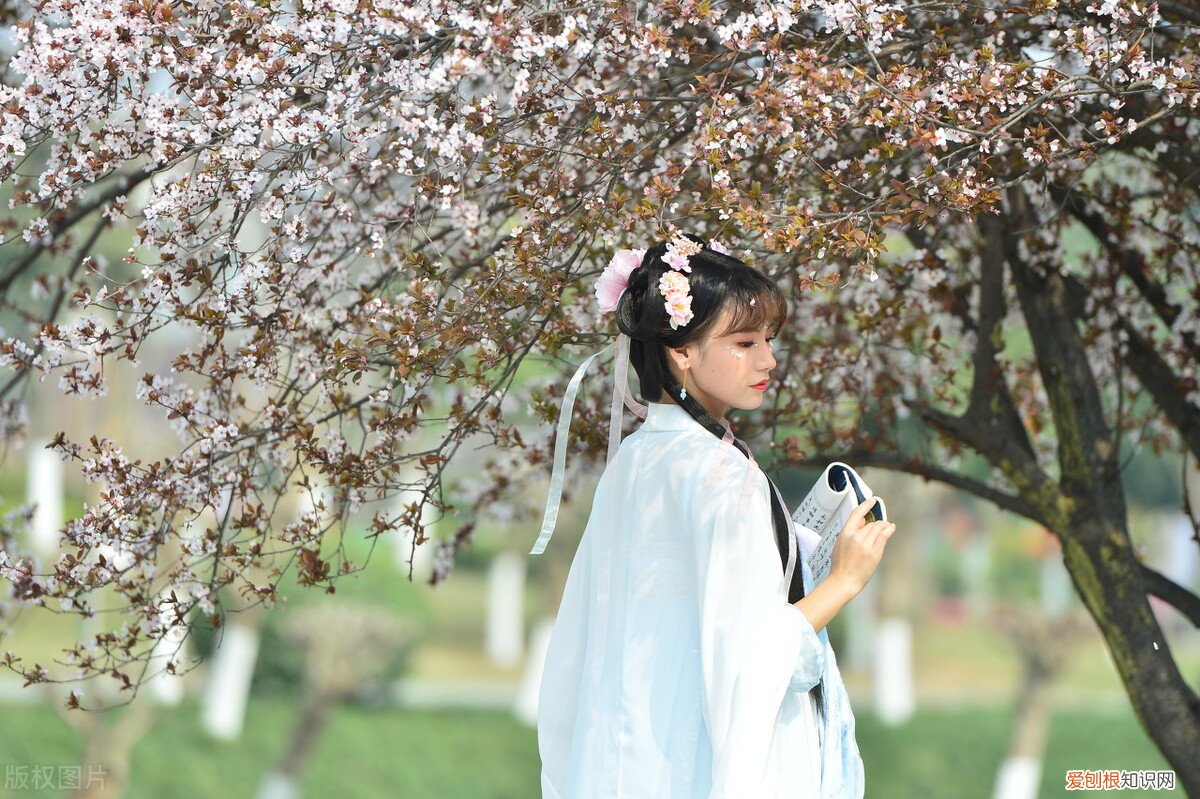 放生什么鱼福报最大？心里有数一年顺当