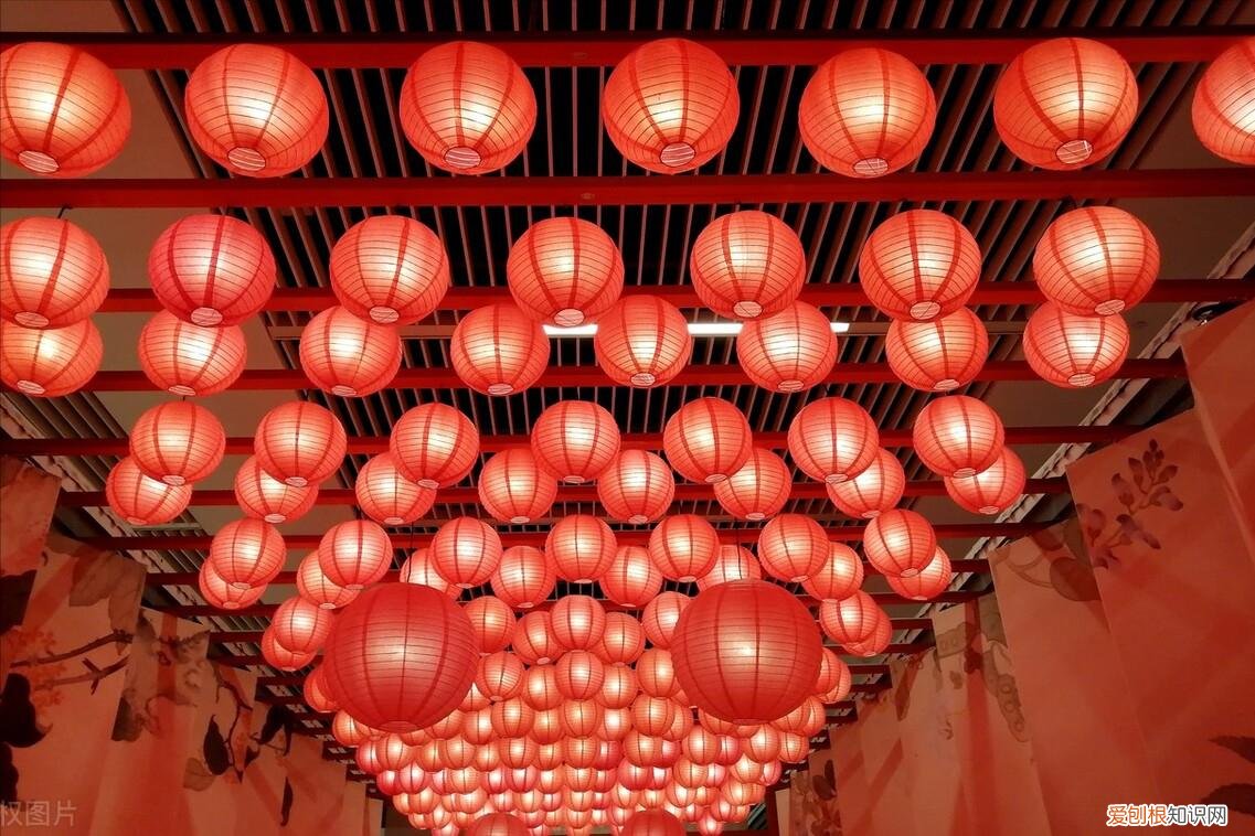 放生什么鱼福报最大？心里有数一年顺当