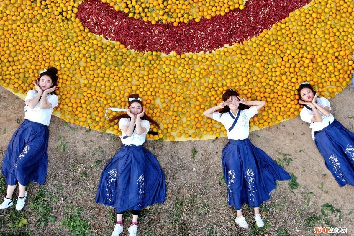 放生什么鱼福报最大？心里有数一年顺当