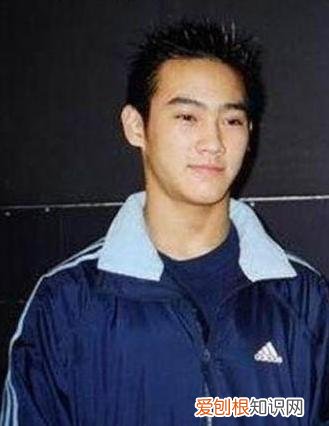 李双江情史里的三个女人 蒋英李双江到底是不是真的