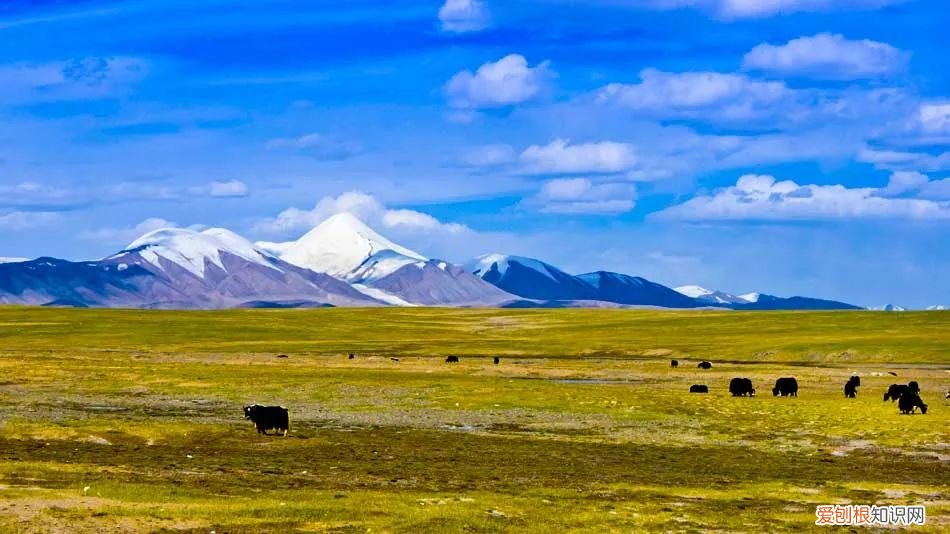 个个美如画，少去一个都可惜 青海旅游攻略必去景点大全