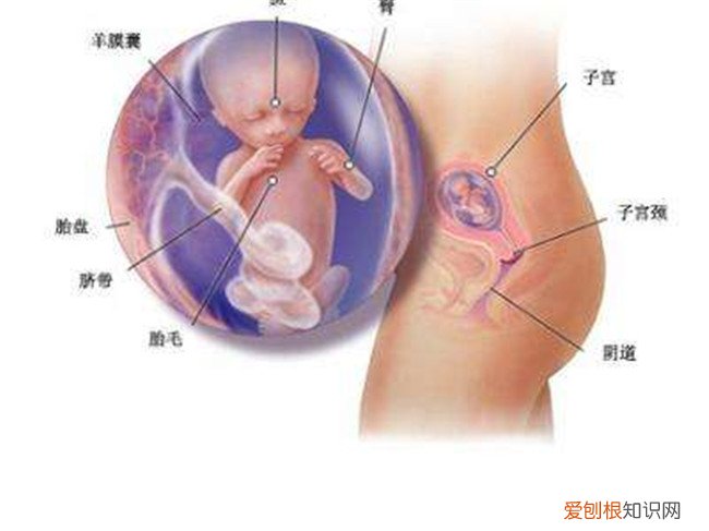 一般怀孕六个月做糖耐最合适 糖耐多少周做最合适