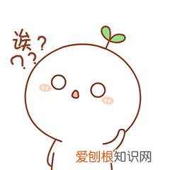 软妹是什么意思