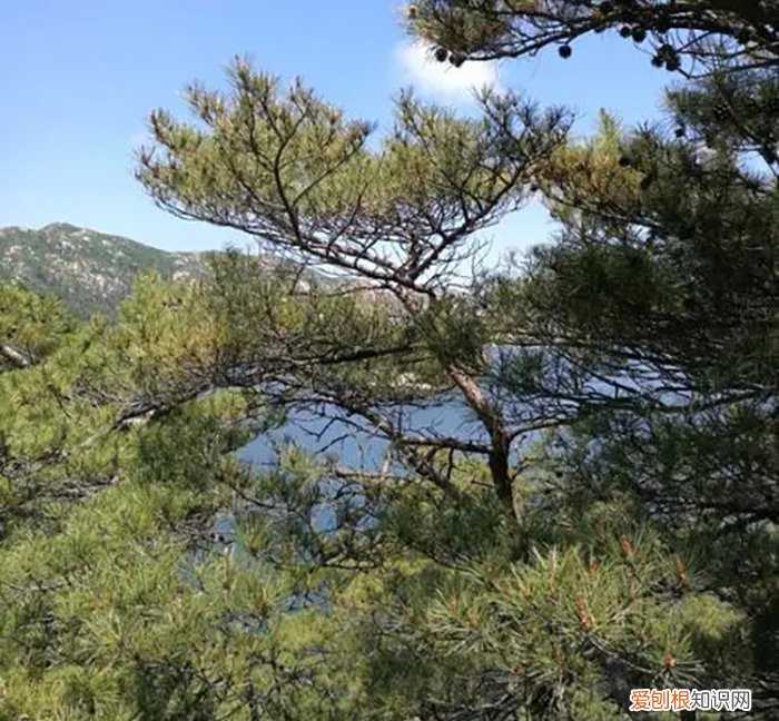 新统计的总人口为2500万左右 朝鲜人口2022总人数口是多少