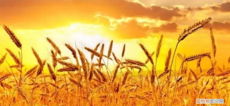 26条逢考必过的朋友圈文案 考试必过吉利话