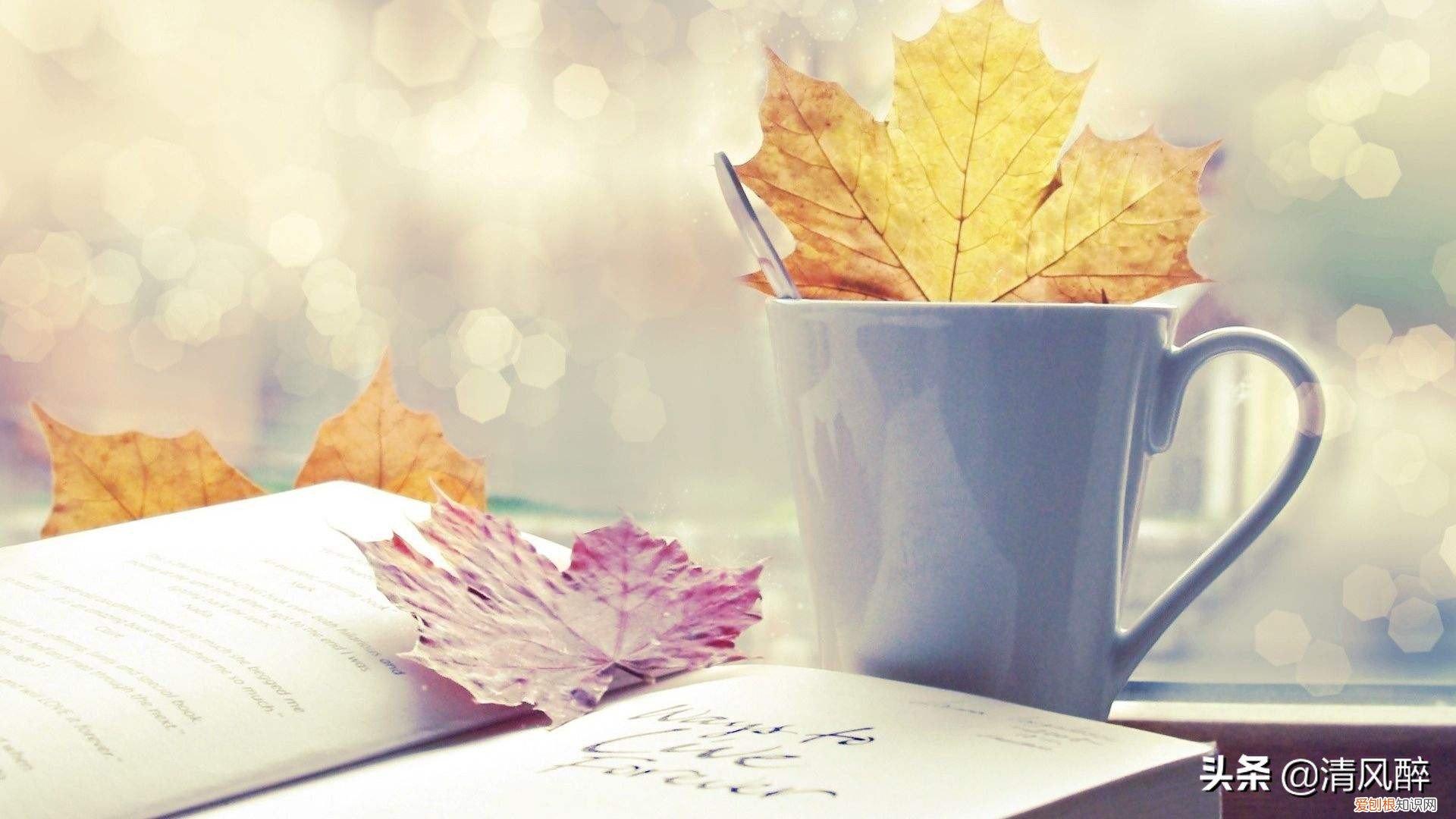 生日发朋友圈怎样写好？附：不油腻的生日说说文案