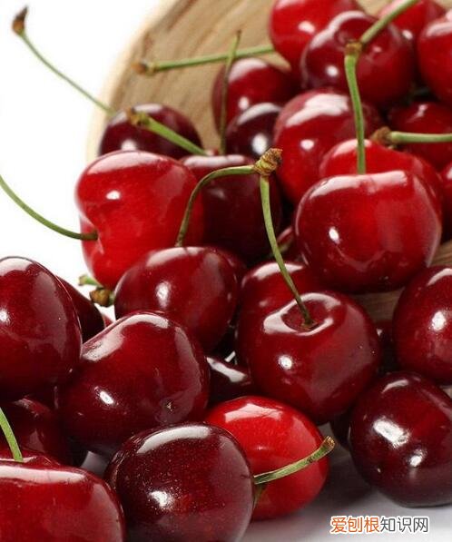 车厘子为什么那么贵?附:车厘子的功效和作用