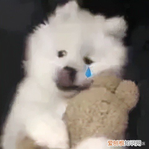 九价的适用年龄是16~26 岁 九价疫苗对女生要求年龄