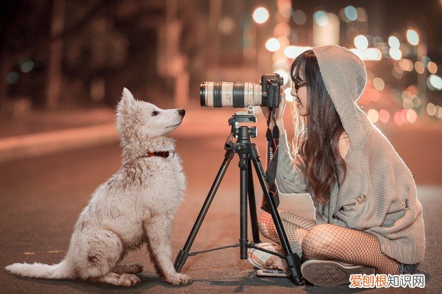 这六款单反相机依然值得买 入门级单反相机推荐