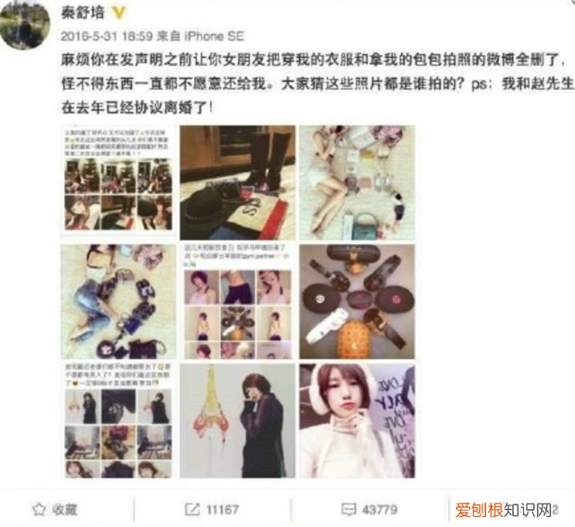 秦舒培的前任是谁？秦舒培前夫近况曝光