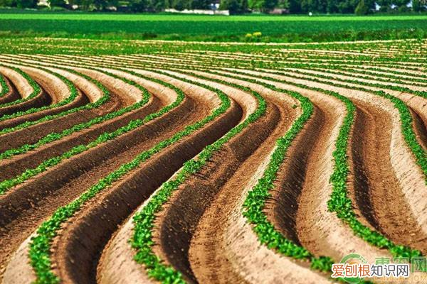 1亩地就等于666.67平方 1亩等于多少平方米