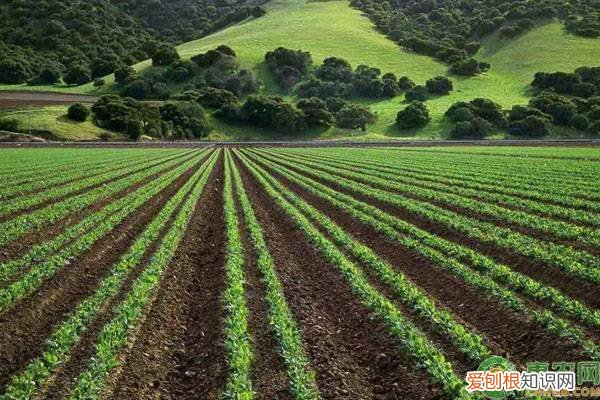 1亩地就等于666.67平方 1亩等于多少平方米