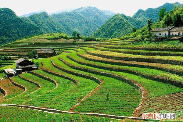 1亩地就等于666.67平方 1亩等于多少平方米