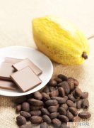 84克大约多少块巧克力，一斤可可豆可以做多少巧克力