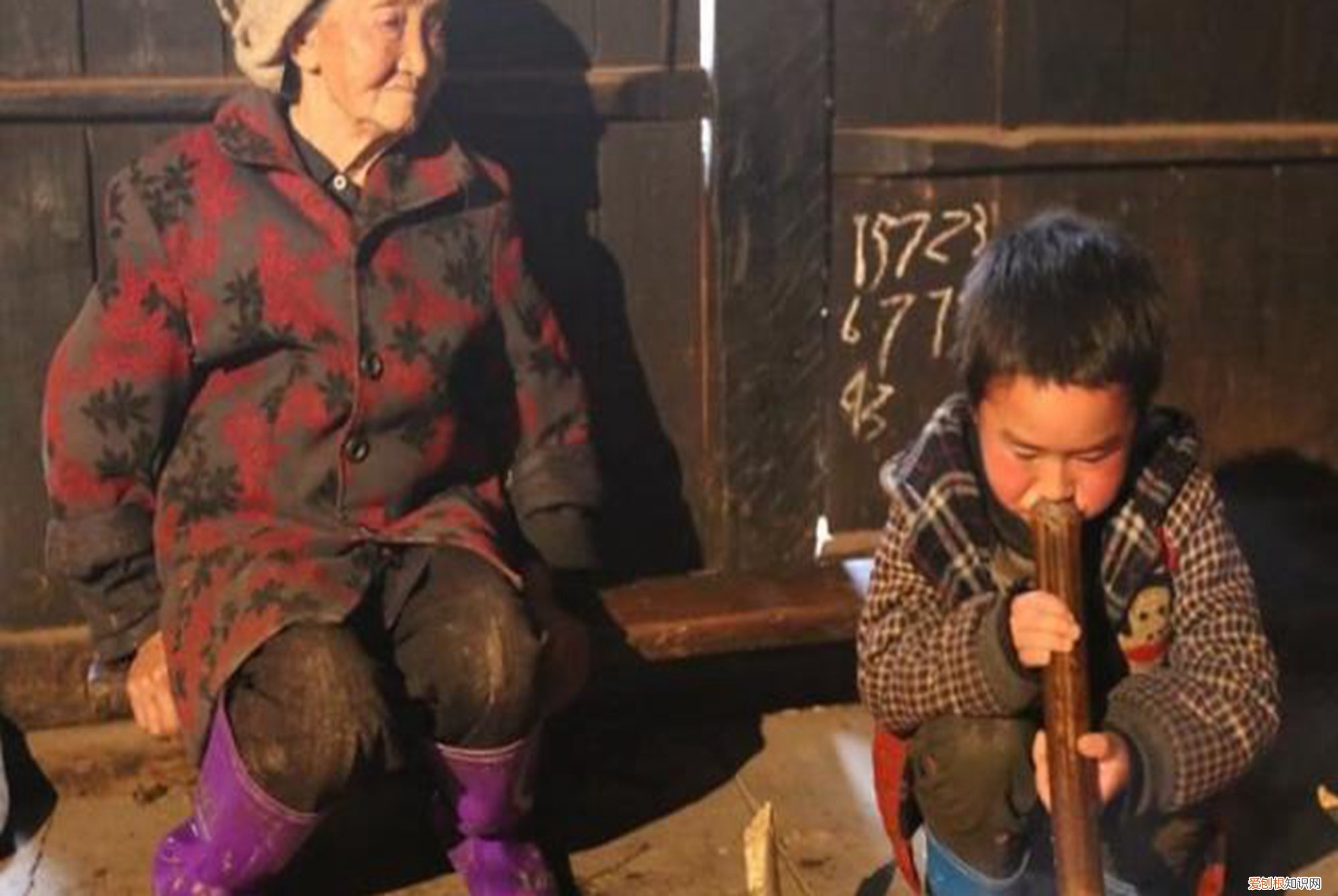 梁志超他奶是什么梗？段子背后，藏着巨大的教育漏洞