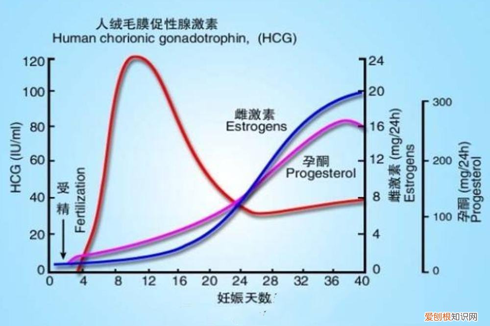 验孕棒一深一浅是怀孕了吗？别上了验孕棒的当