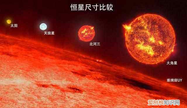 最大的星球是盾牌座uy 比地球还要大的星球