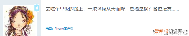 鸟屎掉身上有什么预兆？老人家：预示着好运将要来临