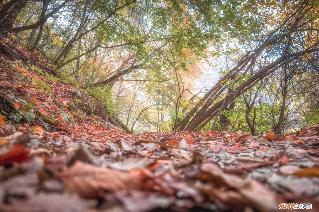 秦岭淮河一线是什么的分界线?中国南北分界线