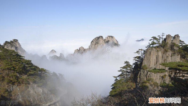 奇松、怪石、云海、温泉 黄山四绝分别是什么