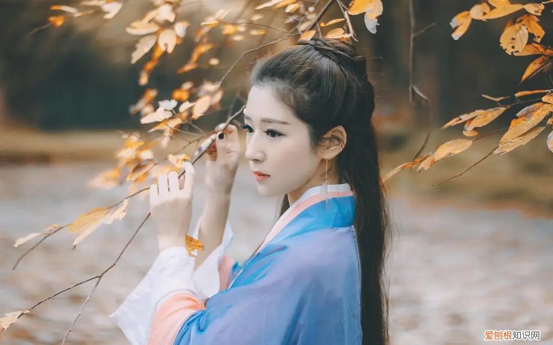 流年笑掷 未来可期上一句是什么