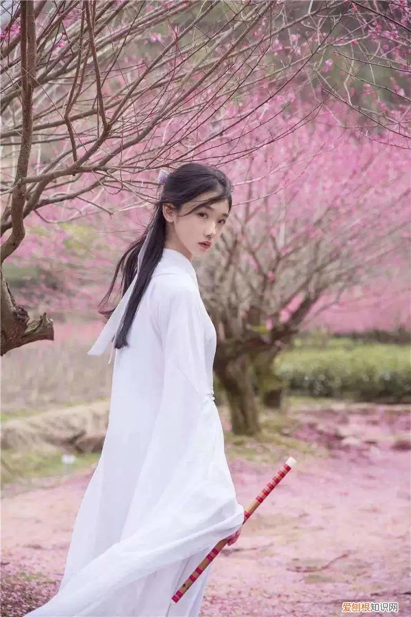 流年笑掷 未来可期上一句是什么