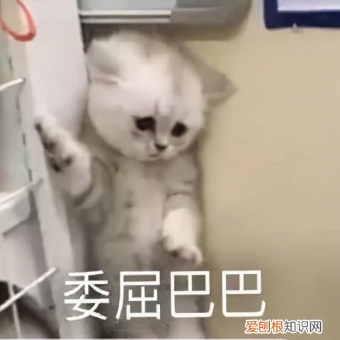 公寓房能买吗？考虑清楚这3点再决定也不迟