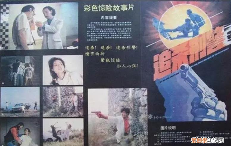 杨若兮刘威为什么分手？杨若兮老公是谁