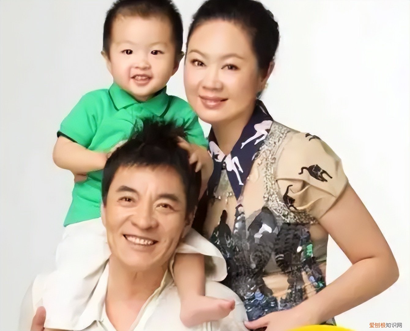 杨若兮刘威为什么分手?杨若兮老公是谁