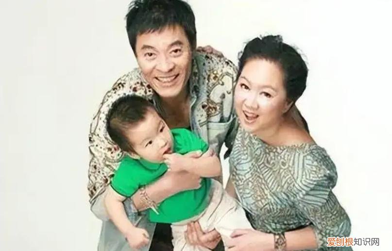 杨若兮刘威为什么分手？杨若兮老公是谁