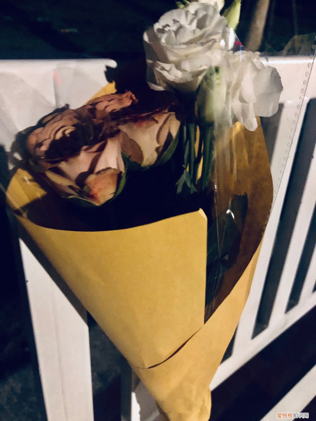 情人节送什么礼物给女朋友？记住这几款就够了