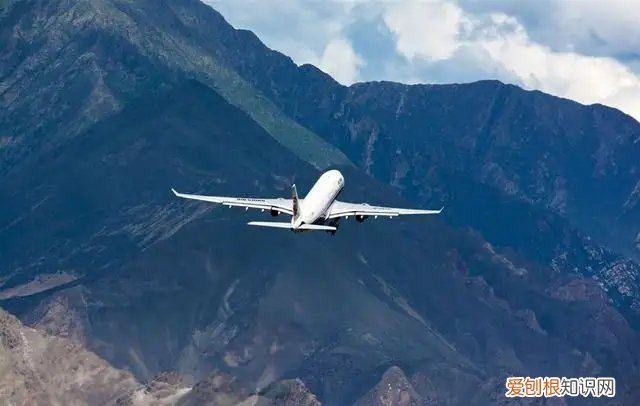 飞机坠毁人还有全尸吗？空难的人都摔烂了吗