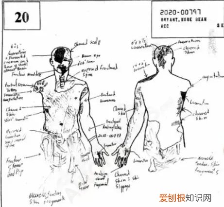 飞机坠毁人还有全尸吗？空难的人都摔烂了吗