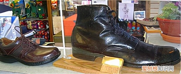 却只活到22岁，他经历了什么？ 世界上最高的人