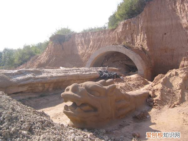 世界上真的有龙吗？附：关于龙存在的灵异事件和客观证据