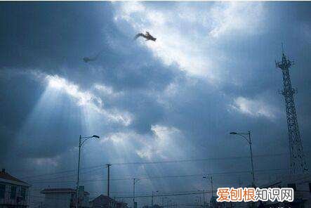 世界上真的有龙吗？附：关于龙存在的灵异事件和客观证据